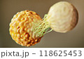 3D Rendering of a T-Cell Attacking a Cancer Cell 118625453