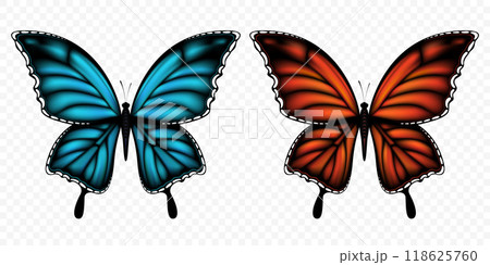Colorful butterflies isolated on transparent background Colorful butterflies isolated on transparent background 118625760