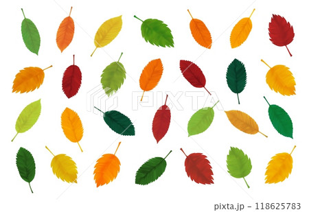 Autumn realistic yellow, red, orange, green leaves. Decorative botanical seasonal elements. Vector Autumn realistic yellow, red, orange, green leaves. Decorative botanical seasonal elements. Vector 118625783