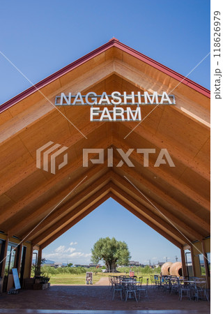 ナガシマファーム「樹齢2000年オリーブ大樹」 ナガシマファーム「樹齢2000年オリーブ大樹」 118626979