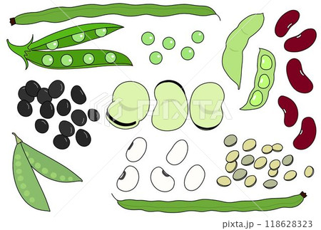いろいろな豆のポストカード いろいろな豆のポストカード 118628323