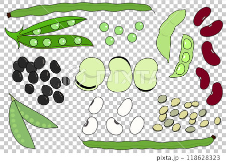 いろいろな豆のポストカード いろいろな豆のポストカード 118628323