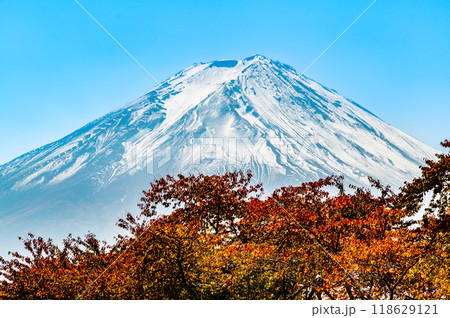 富士山と河口湖畔の紅葉 富士山と河口湖畔の紅葉 118629121
