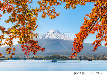富士山と河口湖畔の紅葉 富士山と河口湖畔の紅葉 118629122