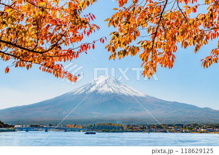富士山と河口湖畔の紅葉 富士山と河口湖畔の紅葉 118629125