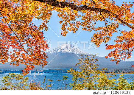 富士山と河口湖畔の紅葉 富士山と河口湖畔の紅葉 118629128