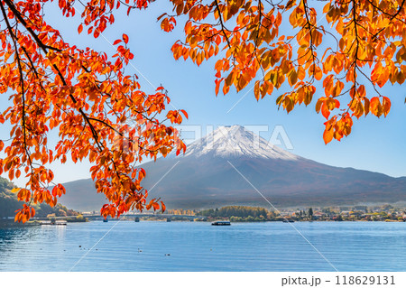 富士山と河口湖畔の紅葉 118629131