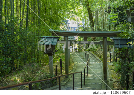 久延彦神社　参道（奈良県桜井市三輪） 118629607