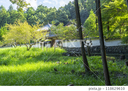 玄賓庵　山門　石畳の道と白塀（奈良県桜井市茅原） 118629610