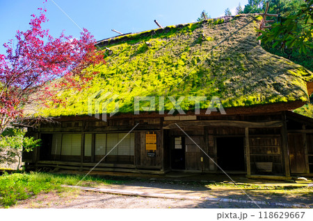 紅葉に包まれる合掌造り民家 118629667