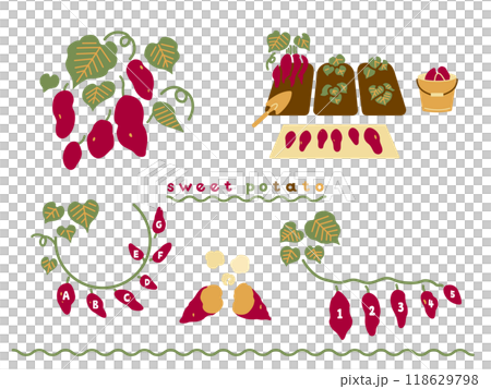 紅薯插圖集 118629798