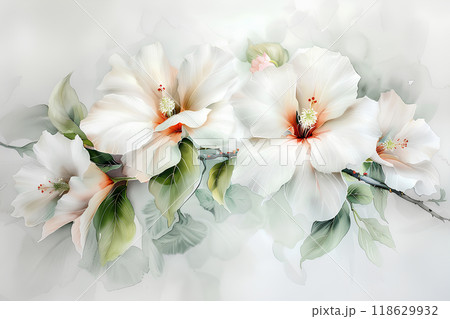 美しいムクゲの花 118629932