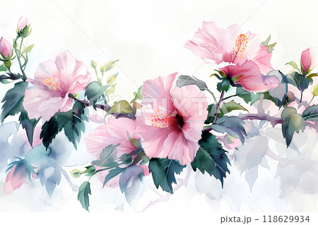 美しいムクゲの花 118629934