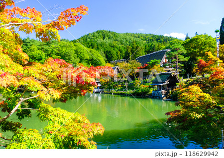 秋の五阿弥池 秋の五阿弥池 118629942