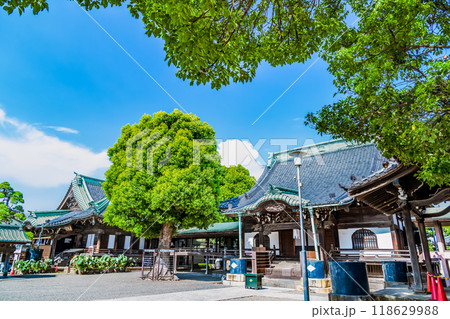 東京 柴又帝釈天　祖師堂と帝釈堂 118629988
