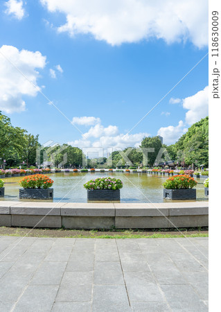 東京都　上野恩賜公園の噴水広場 118630009