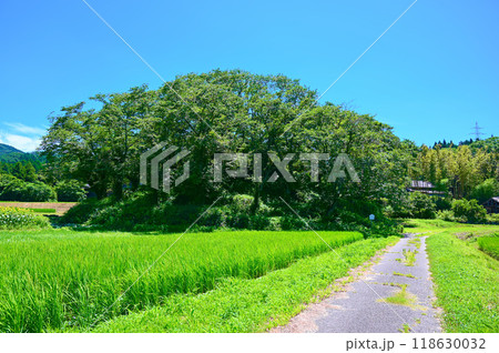 水白鍋山古墳　中能登町 118630032