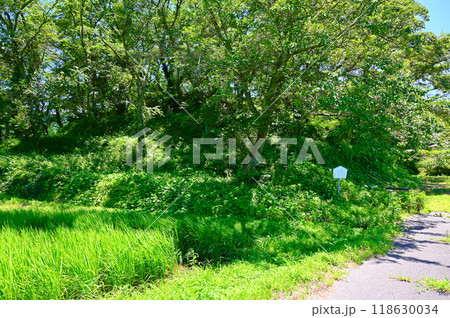 水白鍋山古墳 中能登町 水白鍋山古墳 中能登町 118630034