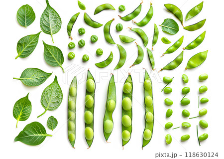 美味しそうな枝豆 118630124
