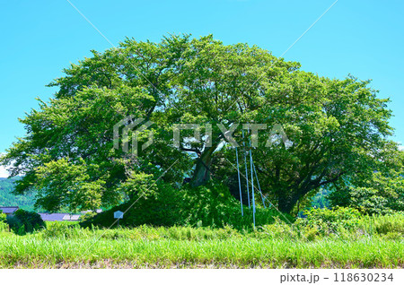 小竹ガラボウ山古墳　中能登町 118630234
