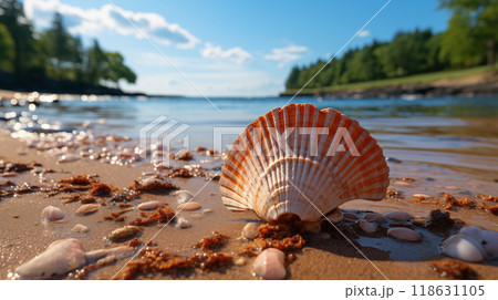 Shell on the sea coast lies on sand gently nestled in the grains shell's intricate details are visible, creating a natural beach scene. The shell adds a touch of coastal beauty to the sandy shore. 118631105