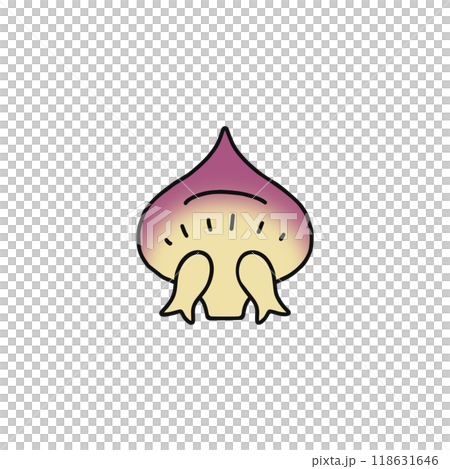 Structure of pine flowers: female flowers, scales, gymnosperms 118631646