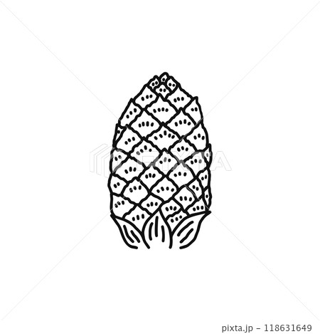 マツの花のつくり　雄花　裸子植物　線画 118631649