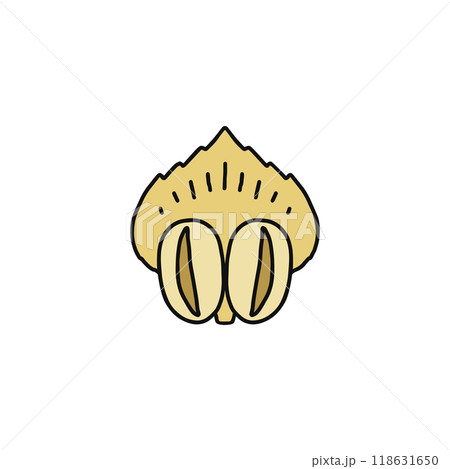 マツの花のつくり　雄花　りん片　裸子植物 118631650