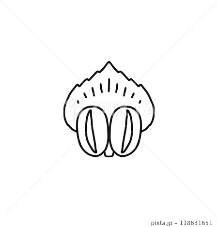 マツの花のつくり 雄花 りん片 裸子植物 マツの花のつくり 雄花 りん片 裸子植物 118631651