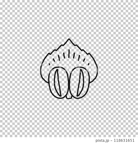 Structure of pine flowers: Male flowers, scales, gymnosperms Structure of pine flowers: Male flowers, scales, gymnosperms 118631651