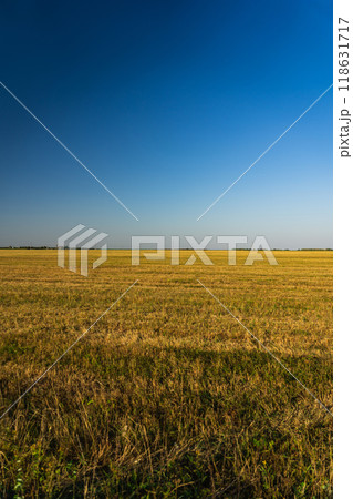 A clear field in the evening in the village. The field after harvest. Clear sky 118631717