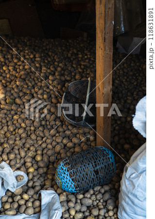 A bunch of potatoes after harvest. September, harvest in the village A bunch of potatoes after harvest. September, harvest in the village 118631891