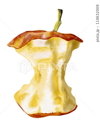 Apple core. The ripe and juicy apple was red. Watercolor illustration. Apple core. The ripe and juicy apple was red. Watercolor illustration. 118632009