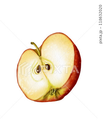 Half an apple. seeds Ripe and juicy fruit. The pulp is visible. The apple is red. Watercolor illustration. Half an apple. seeds Ripe and juicy fruit. The pulp is visible. The apple is red. Watercolor illustration. 118632020