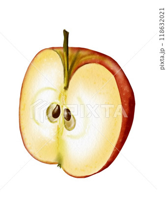 Half an apple. seeds Ripe and juicy fruit. The pulp is visible.  Watercolor illustration. 118632021
