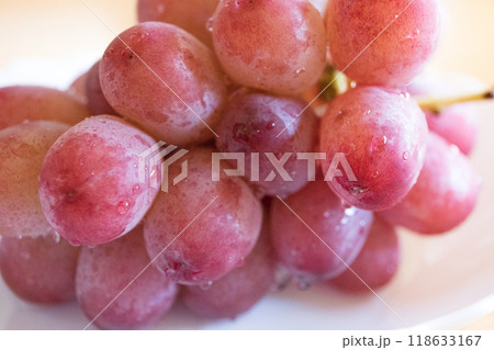 クイーンルージュ クイーンルージュ 118633167