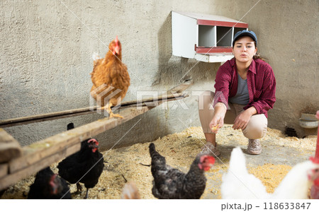 Young female farm worker hand-feeding hens Young female farm worker hand-feeding hens 118633847