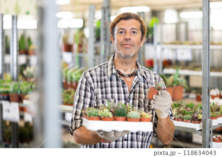 Salesman in flower shop gets acquainted with assortment of succulent and examines plants Salesman in flower shop gets acquainted with assortment of succulent and examines plants 118634043