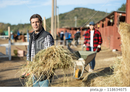 Confident middle-aged man holding pile of hay on pitchfork for feeding horses on farm 118634075