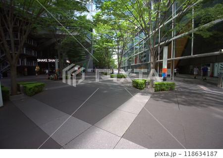 緑のあるオフィス街の風景 118634187