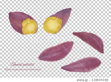 甘藷向量插圖集畫水彩 118634190