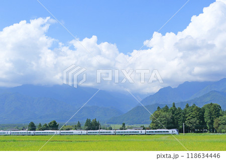 大糸線　初秋の安曇野を行く特急あずさ 118634446