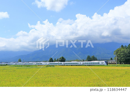 大糸線　初秋の安曇野を行く特急あずさ 118634447
