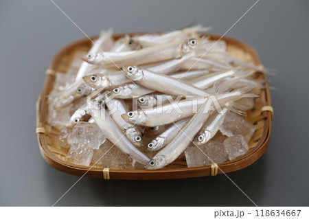 新鮮なワカサギ 118634667