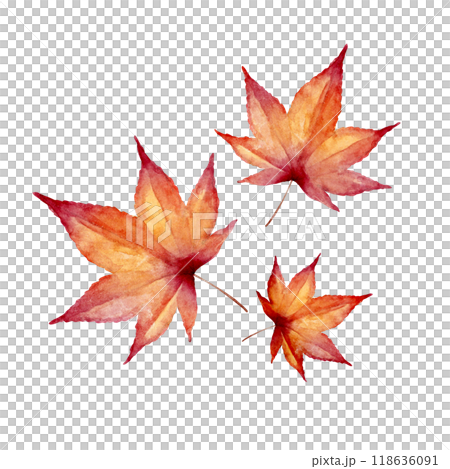 Autumn leaves, autumn illustration, watercolor illustration 118636091