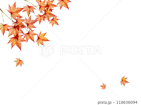 紅葉 秋　背景 フレーム　水彩 イラスト 118636094