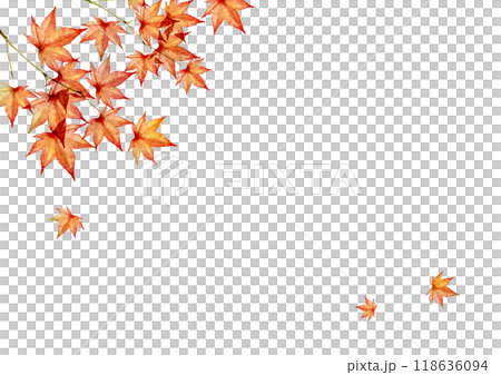 紅葉 秋　背景 フレーム　水彩 イラスト 118636094