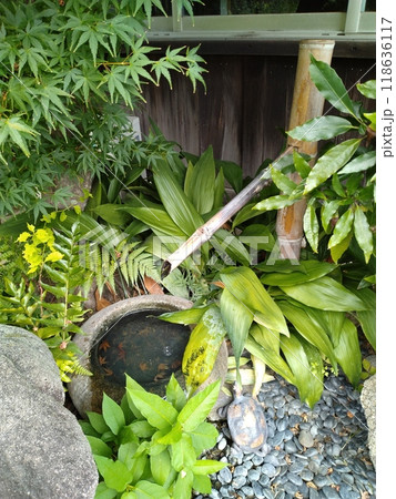 日本の古民家 118636117