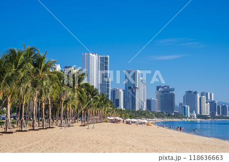 Sandy beach with palm trees by the sea in resort town with skyscrapers in summer in Nha Trang in Vietnam 118636663
