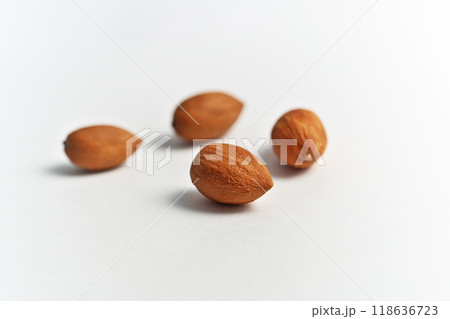 カヤの実（秋、九月） 118636723